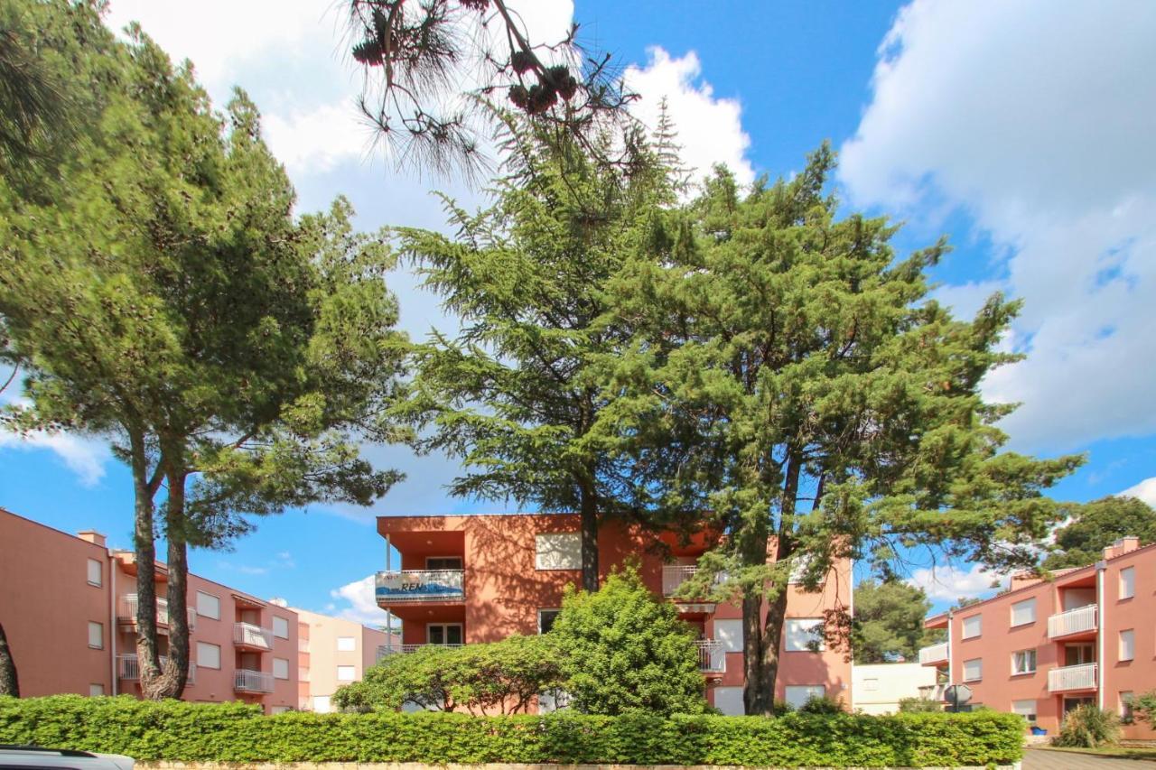 Vesna S Apartment Новиград Екстериор снимка